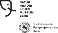 NMBE Logo